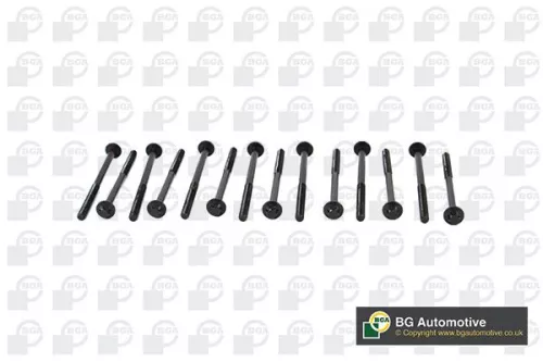 Bga Cylinder Head Bolt Set For Bmw 3 4 5 6 7 8 X3 X4 X5 X6 X7