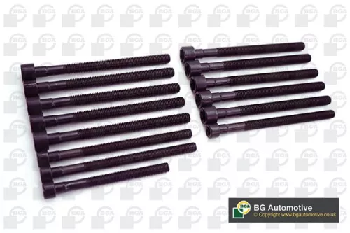 Bga Cylinder Head Bolt Set For Bmw 1 3 5 6 7 X1 X3 X5 Z4