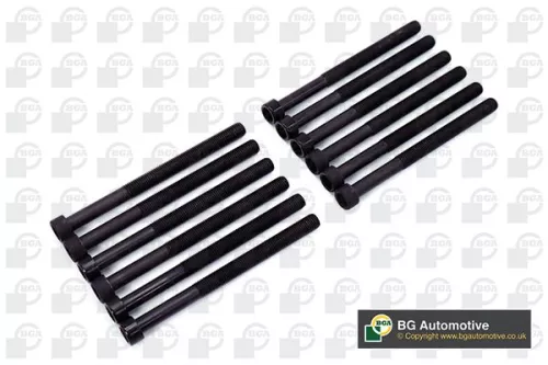 Bga Cylinder Head Bolt Set For Vw Multivan Touareg Transporter