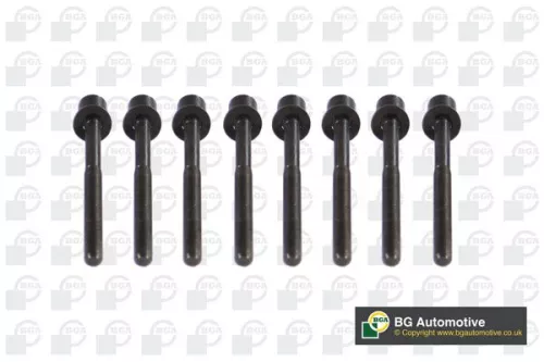 Bga Cylinder Head Bolt Set For Dacia Nissan Renault Captur Clio Logan Logan Mcv 