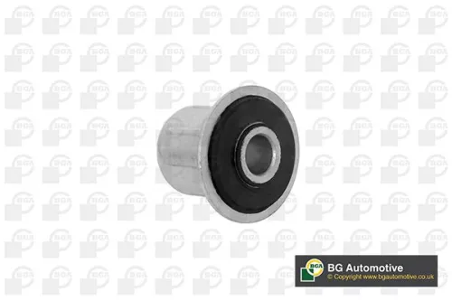 Bushing, leaf spring