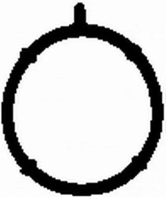 Bga Intake Manifold Gasket For Bmw 3 Z3