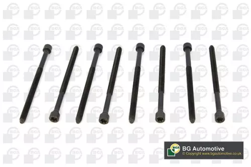 Bga Cylinder Head Bolt Set For Audi Porsche Vw A4 A5 A6 A6 Allroad A7 A8 Cayenne