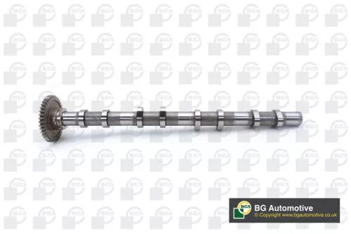 BGA BGA CS0902 Bga Exhaust Side Camshaft For Bmw Mini 1 2 3 4 5 6 7 Mini Mini Clubman Mini Club 