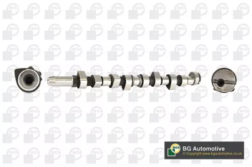 BGA BGA CS1324 Bga Exhaust Side Intake Side Camshaft For Ford Escort Fiesta Mondeo Orion P 100  
