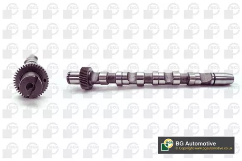 Bga Intake Side Camshaft For Audi Skoda Vw A4 A6 A8 Allroad Passat Superb