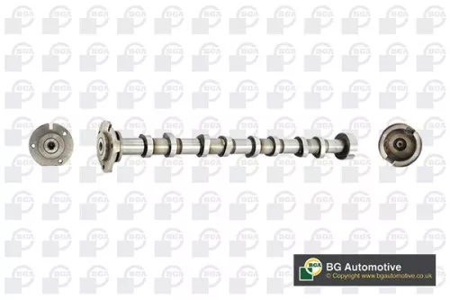 Bga Intake Side Camshaft For Citroën Ford Peugeot Boxer Jumper Tourneo Custom Tr