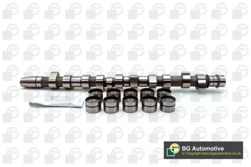 Bga Exhaust Side Intake Side Camshaft Kit For Audi Vw 100 200 A6 Crafter 30-35 C