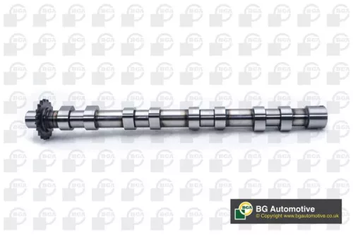 Bga Intake Side Camshaft For Citroën Fiat Ford Peugeot Volvo 307 308 308 Cc 308 