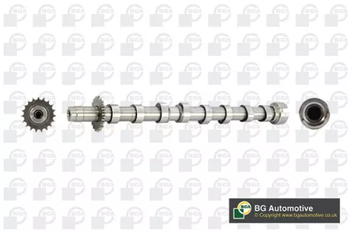 Bga Exhaust Side Camshaft For Citroën Fiat Ford Peugeot Volvo 307 308 308 Cc 308