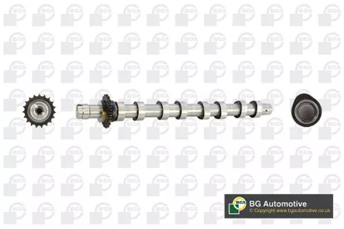 Bga Intake Side Camshaft For Citroën Ford Mazda Peugeot Volvo 1007 206 207 207 C