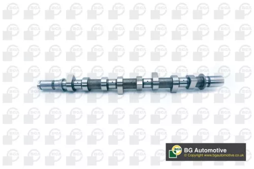 Bga Exhaust Side Intake Side Camshaft For Dacia Renault Clio Kangoo Logan Logan 