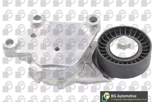 Tensioner Lever, V-ribbed belt