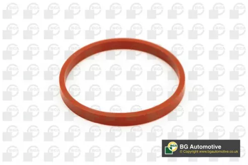 Bga Intake Manifold Gasket For Ford B-max Fiesta