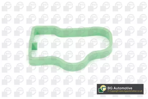 Bga Intake Manifold Gasket For Chevrolet Opel Vauxhall Adam Astra Astra J Aveo C