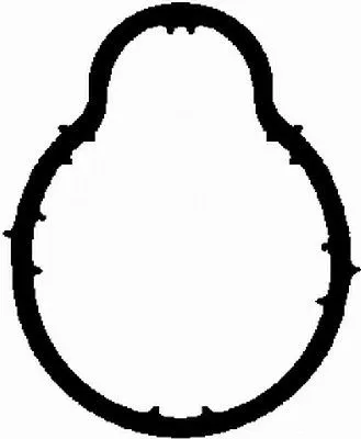 Bga Intake Manifold Gasket For Seat Vw Bora Golf Passat Toledo