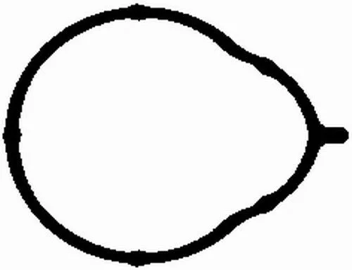 Bga Intake Manifold Gasket For Bmw 3 Z3