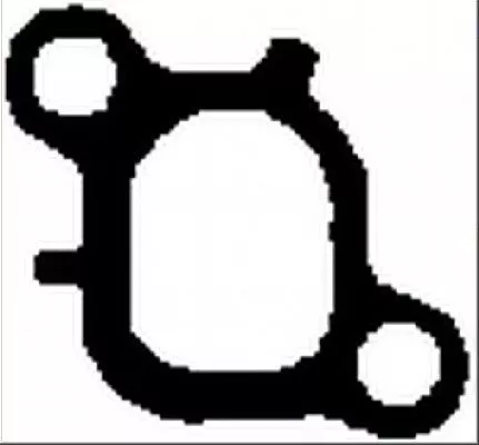 Bga Intake Manifold Gasket For Vw Multivan Touareg Transporter