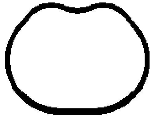 Bga Intake Manifold Gasket For Ford Mazda Volvo 2 C-max C30 Fiesta Focus Focus C