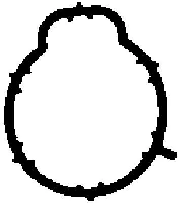 Bga Intake Manifold Gasket For Mercedes A-class Vaneo