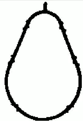 Bga Intake Manifold Gasket For Audi Seat Skoda Vw A4 Exeo Passat Superb Touran