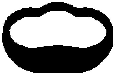 Bga Intake Manifold Gasket For Hyundai Vw Accent Lantra Passat