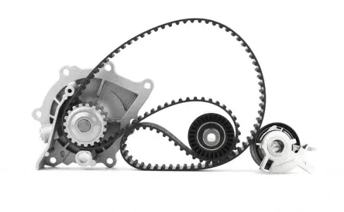 Bga Water Pump & Timing Belt Kit For Citroën Ds Ford Ford Usa Opel Peugeot Toyot