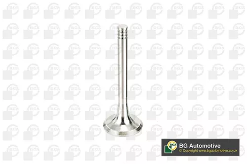 BGA BGA V033035 Bga Exhaust Valve For Audi Honda Seat Vw 100 200 80 90 A4 A6 A8 Accord Cabriolet 