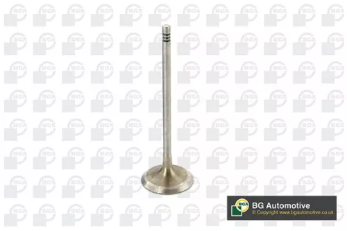 Bga Intake Valve For Bmw 3 5 X3 Z4