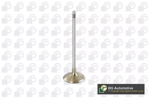 Bga Intake Valve For Bmw 1 3 5 7 X6 Z4