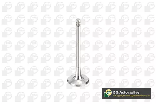 Bga Intake Valve For Audi Chrysler Dodge Ford Jeep Mitsubishi Seat Skoda Vw A3 A