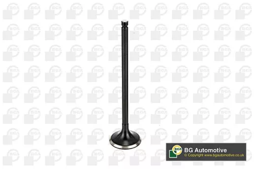 Bga Exhaust Valve For Nissan Cube Juke Micra Micra C+c Note Nv200 Nv200 / Evalia