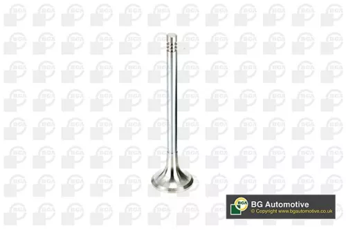 Bga Exhaust Valve For Citroën Fiat Ford Jaguar Lancia Land Rover Mitsubishi Peug