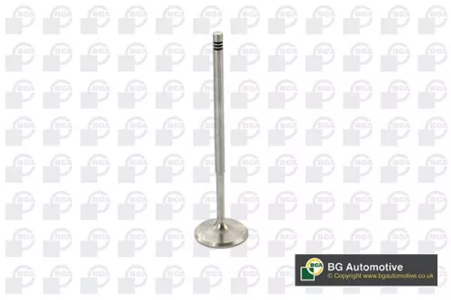 Bga Intake Valve For Ford Vw Golf Transit