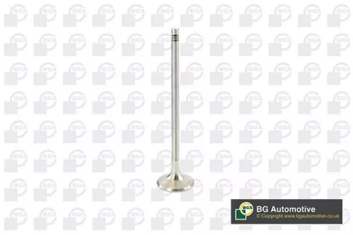 Bga Exhaust Valve For Ford Vw Golf Transit