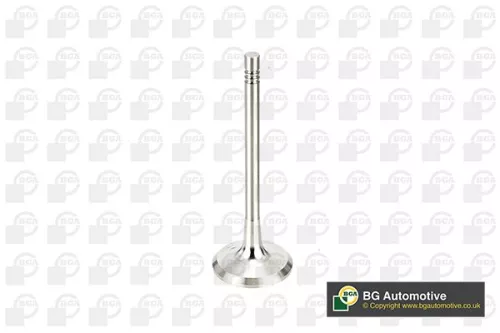 Bga Exhaust Valve For Audi Seat Skoda Vw A3 A4 Altea Altea Xl Bora Caddy Exeo Go