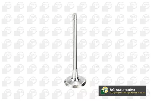 Bga Intake Valve For Citroën Peugeot 1007 206 207 307 308 308 Sw Berlingo Berlin