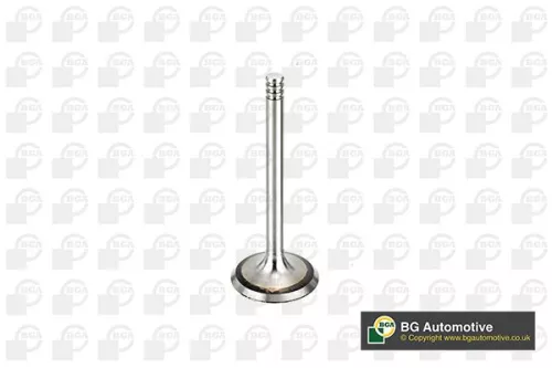 Bga Intake Valve For Audi Seat Skoda Vw A2 A3 A4 Alhambra Altea Altea Xl Bora Ca