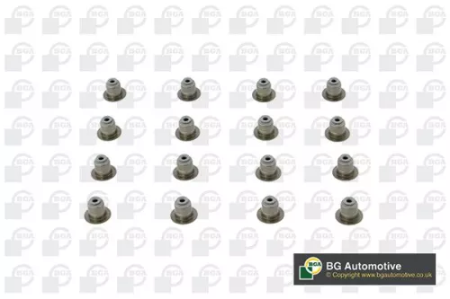 Seal Set, valve stem