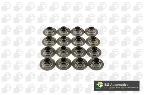 Seal Set, valve stem