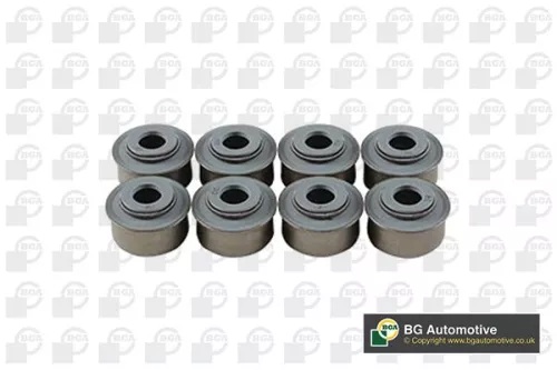 Seal Set, valve stem