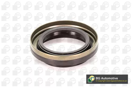 Shaft Seal, differential