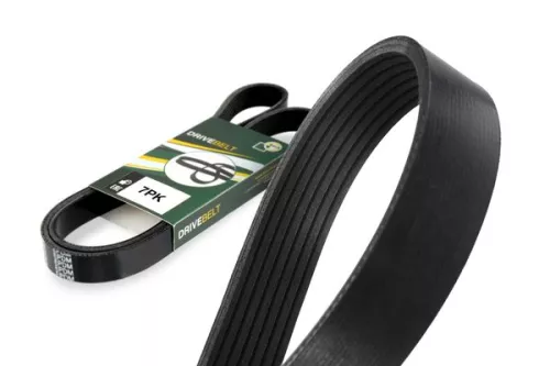 Bga V-ribbed Belt For Dacia Nissan Renault Captur Clio Duster Jogger Logan Megan