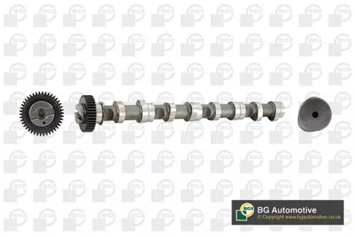 Bga Intake Side Camshaft For Audi Seat Skoda Vw A1 A3 A4 A4 Allroad A5 A6 Alhamb
