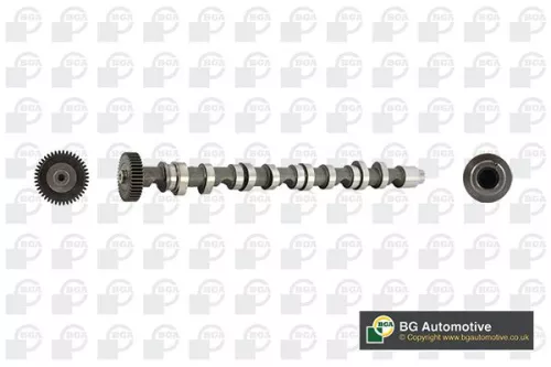 Bga Exhaust Side Camshaft For Audi Seat Skoda Vw A1 A3 A4 A4 Allroad A5 A6 Alham