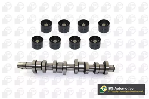 Bga Exhaust Side Intake Side Camshaft Kit For Audi Ford Seat Vw A3 A4 A6 Alhambr