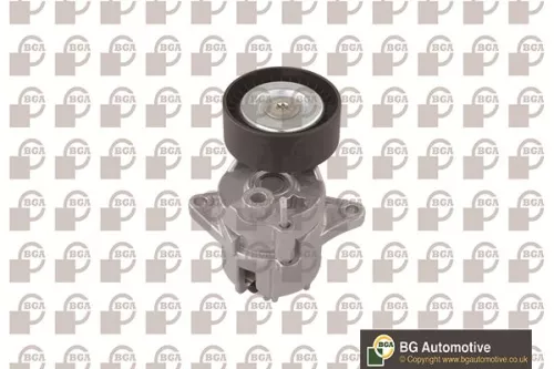 Tensioner Lever, V-ribbed belt