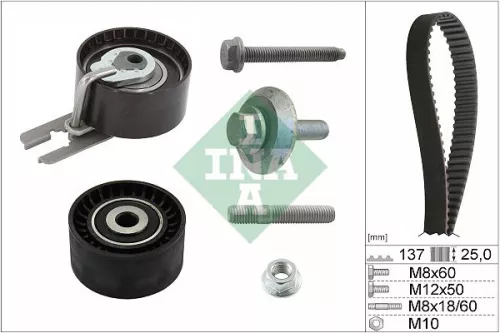 Ina Timing Belt Kit For Citroën Fiat Ford Mini Peugeot Suzuki Volvo 1007 206 207