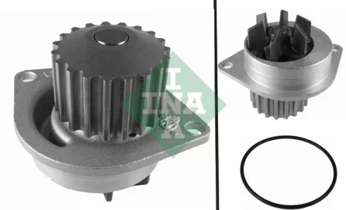 Ina Water Pump For Citroën Citroën (Df-psa) Fengshen Peugeot Peug