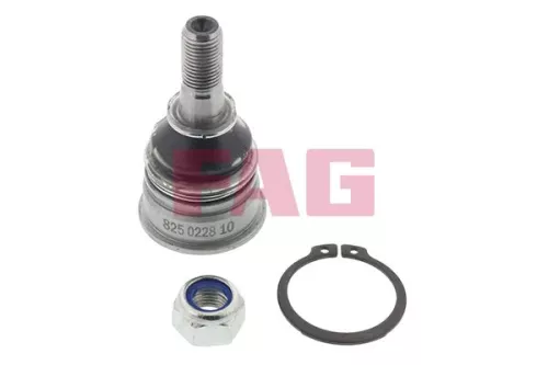 Schaeffler FAG Schaeffler FAG 825 0228 10 Fag Front Ball Joint For Nissan Micra 